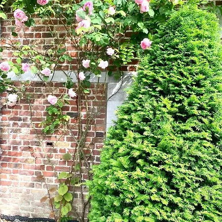 - Tour D'heloise - 10' De Bruxelles Apartament